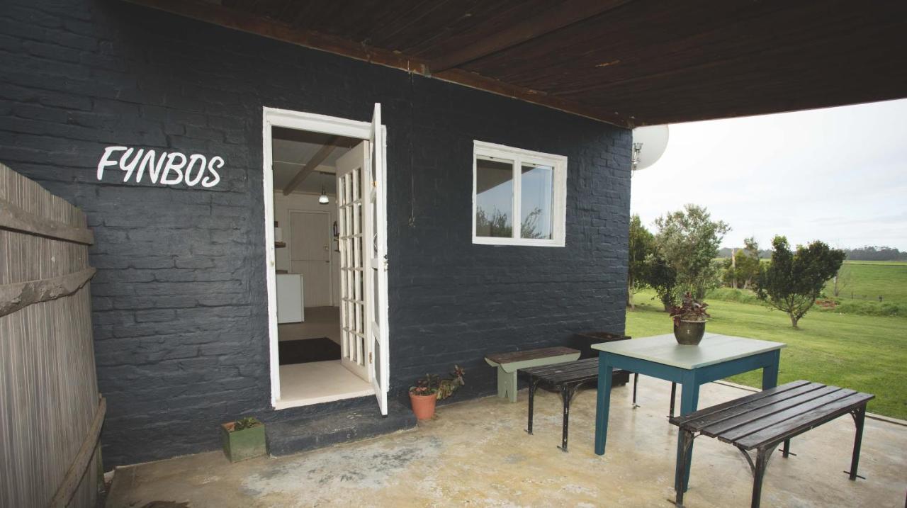 Beyond Urban Cottages ستورمزريفير المظهر الخارجي الصورة