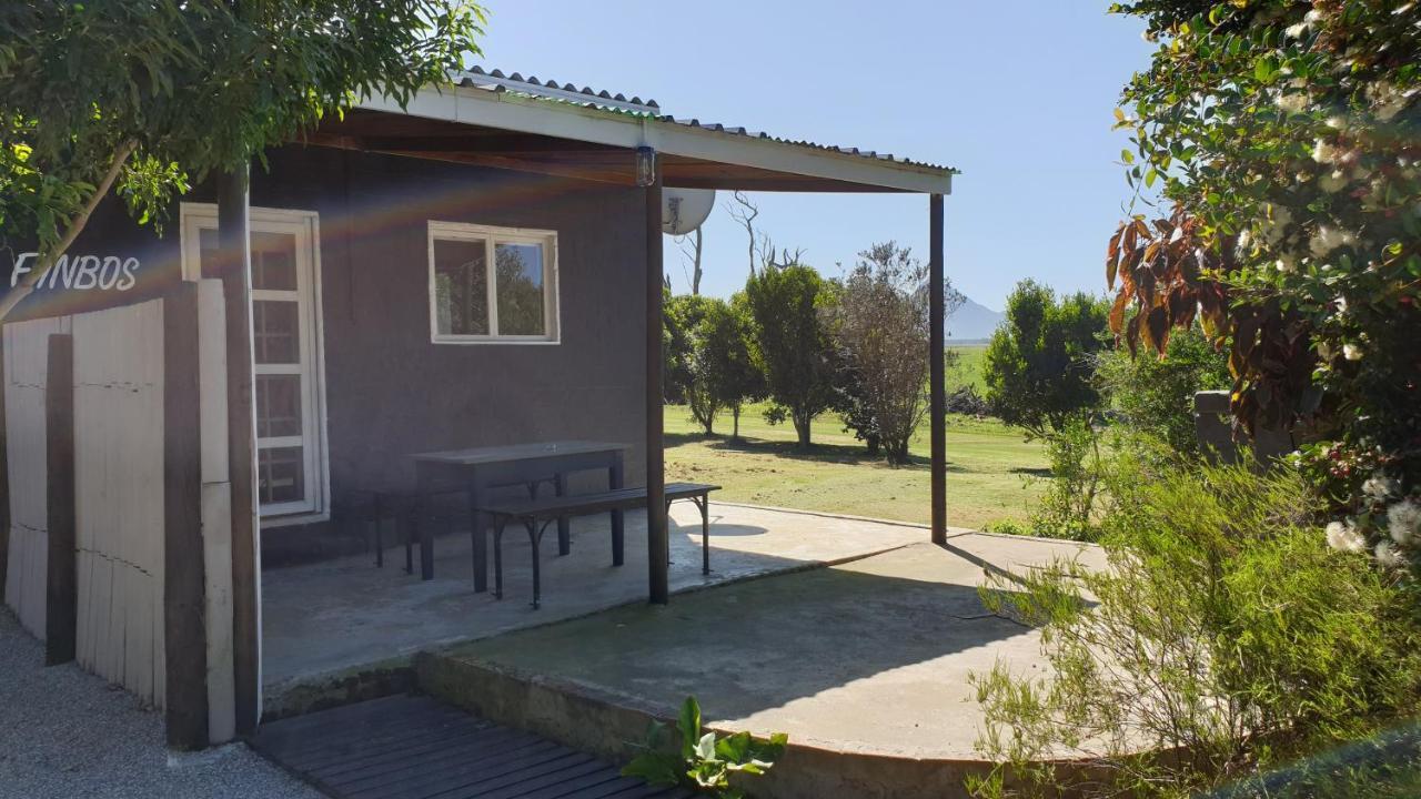 Beyond Urban Cottages ستورمزريفير المظهر الخارجي الصورة