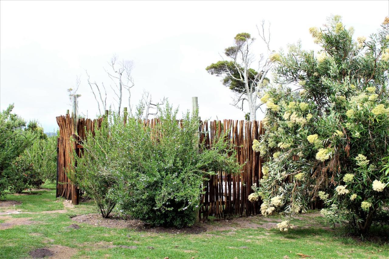 Beyond Urban Cottages ستورمزريفير المظهر الخارجي الصورة